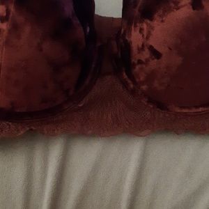 Cacique Intimates & Sleepwear - Cacique Bra Cacique Intimates & Sleepwear - Cacique Bra